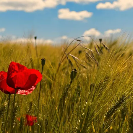 Appartement Haus Am Nunzenberg